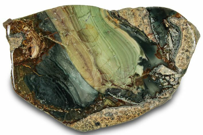 Polished Section of Blue Mountain Jasper - Oregon #316122